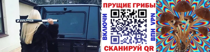 Псилоцибиновые грибы GOLDEN TEACHER  Горячий Ключ 