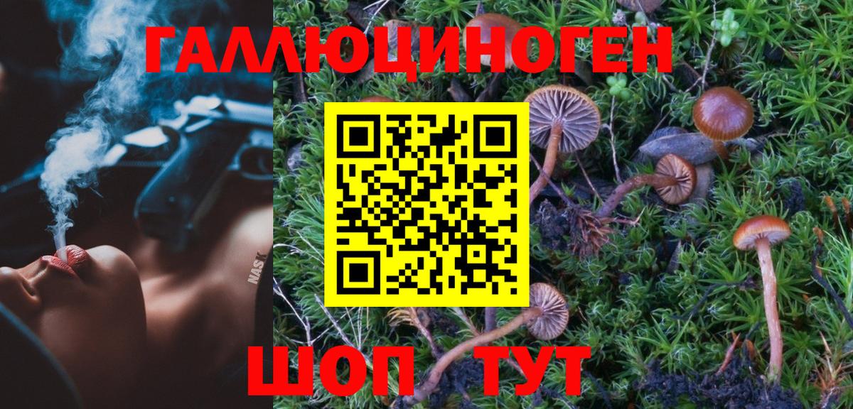 Горячий Ключ  Псилоцибиновые грибы Psilocybine cubensis  купить закладку  Вход с VPN 