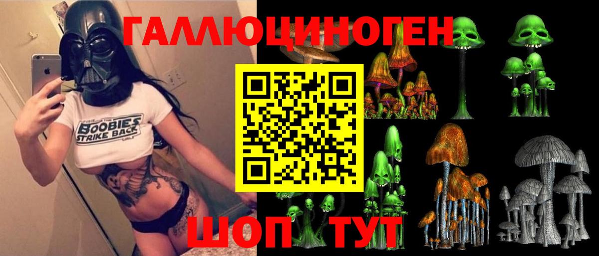 Псилоцибиновые грибы прущие грибы Горячий Ключ
