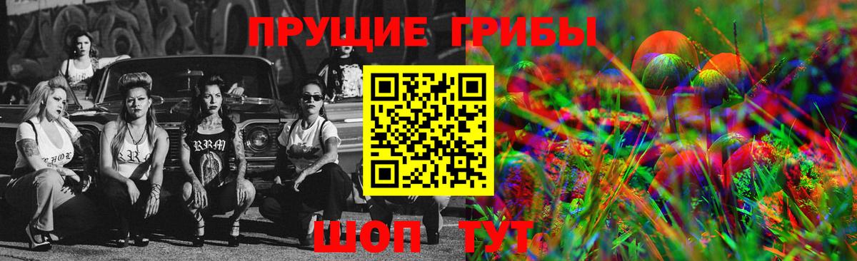 Псилоцибиновые грибы GOLDEN TEACHER Горячий Ключ