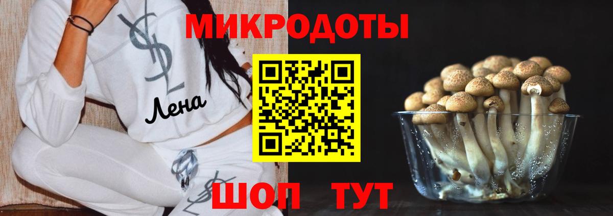 Галлюциногенные грибы Cubensis  Горячий Ключ  Галлюциногенные грибы Psilocybine cubensis 