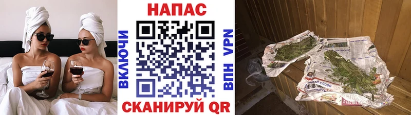 Бошки Шишки семена даркнет сайт Горячий Ключ